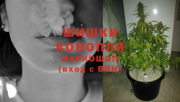 трава Белоозёрский