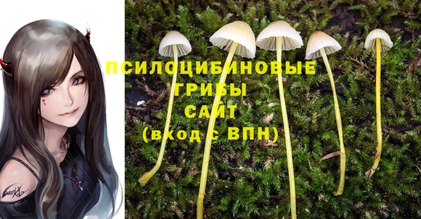 первитин Белокуриха