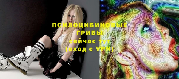 прущие грибы Балахна