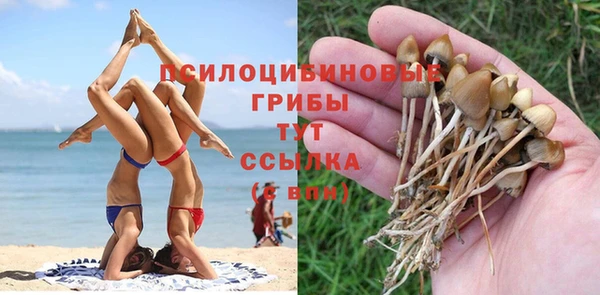 ешки Беломорск