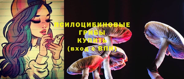 первитин Белокуриха